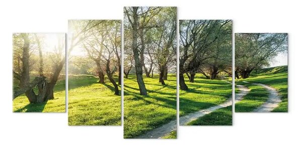 Quadro moderno Orto di maggio