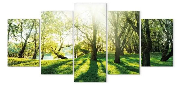 Quadro moderno Radura verde