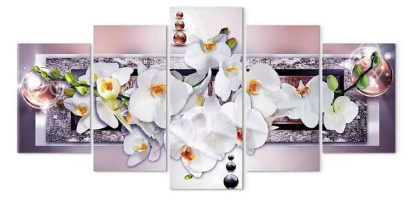 Quadro moderno L'orchidea misteriosa