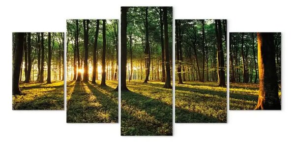 Quadro contemporaneo Avventura nel bosco