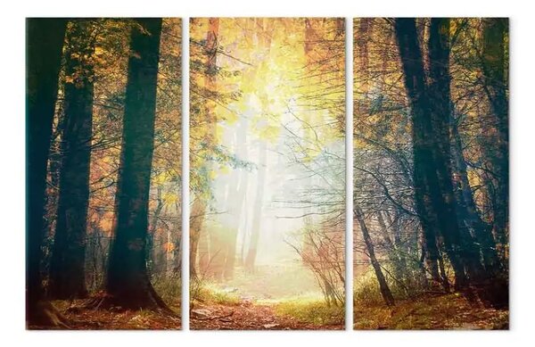 Quadro Fascino d'autunno - trittico