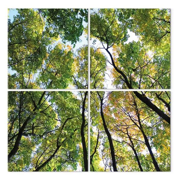 Quadro contemporaneo Treetops