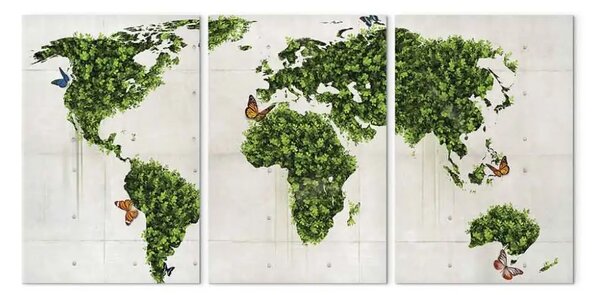 Quadro su tela Continenti verdi