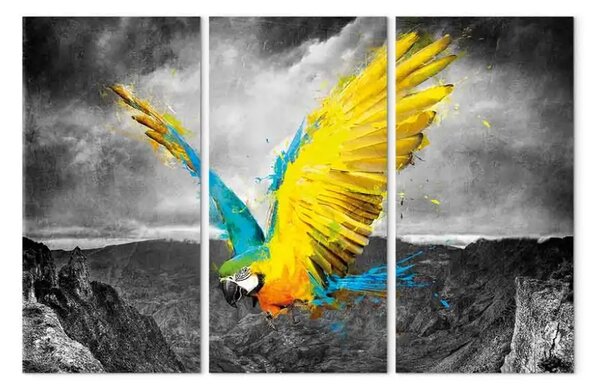 Quadro contemporaneo Uccello paradisiaco