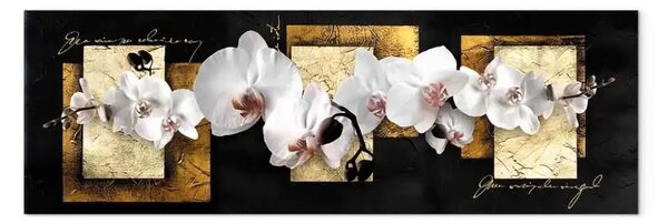 Quadro Composizione elegante con orchidea