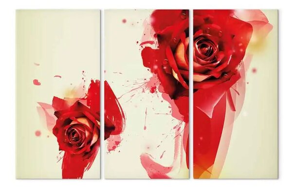 Quadro moderno Nuovo sguardo sulle rose