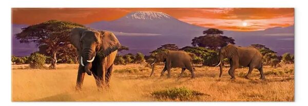 Quadro La marcia degli Elefanti africani