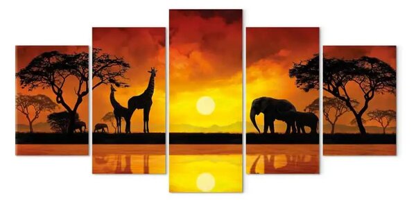 Quadro moderno Savana - tramonto