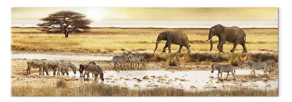 Quadro su tela Africa: al foro di irrigazione