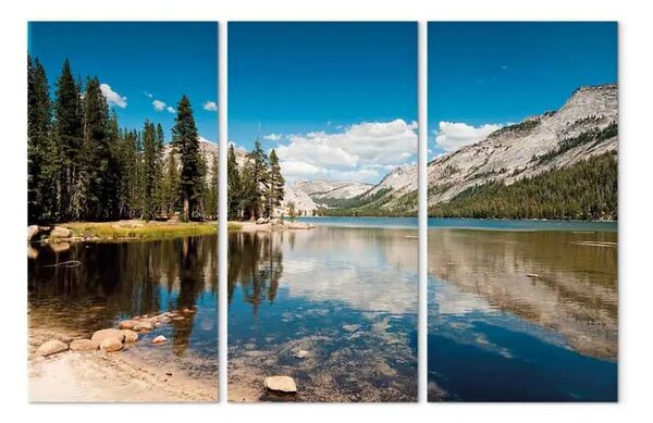 Quadro moderno Montagne, alberi e lago puro come il cristallo