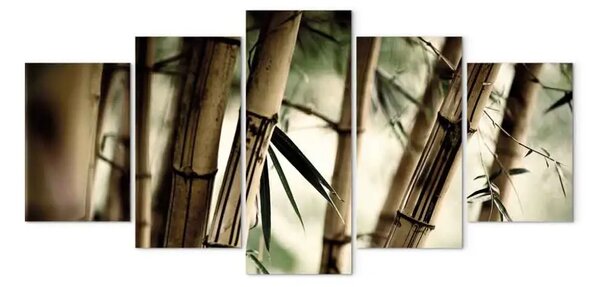 Quadro contemporaneo Foresta di bambu' asiatica