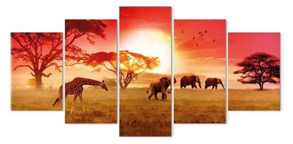 Quadro I colori solari dell'Africa