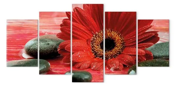 Quadro moderno Gerbera e pietre Zen