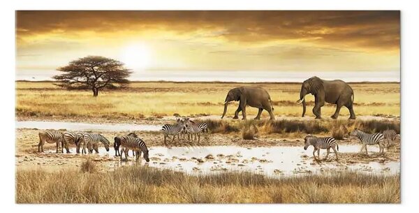 Quadro su tela Sogno dell'Africa