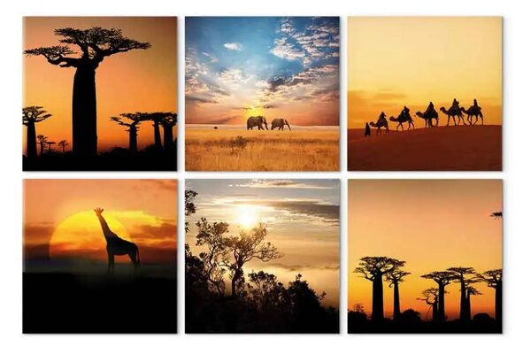 Quadro Paesaggi africani
