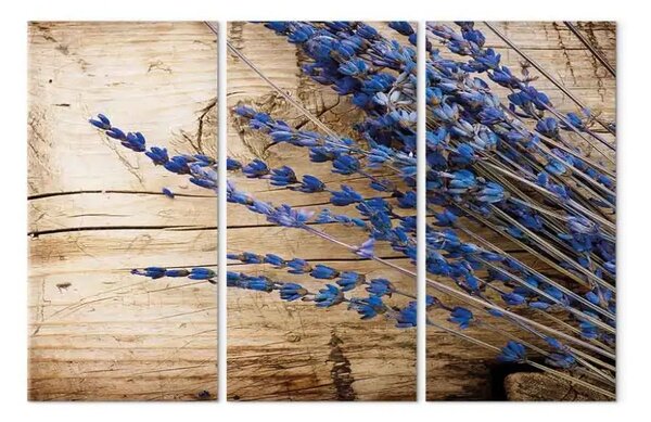 Quadro contemporaneo Lavanda