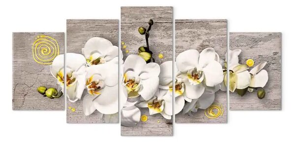 Quadro Orchidee solari (5 pezzi)