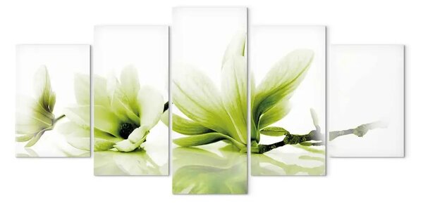 Quadro Il fascino delle magnolie