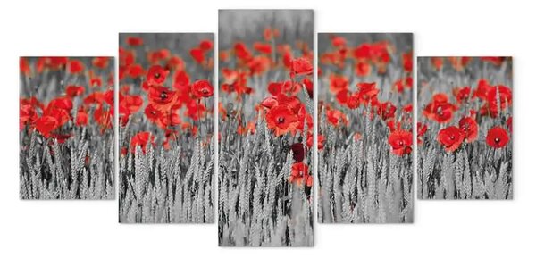 Quadro contemporaneo Papaveri rossi tra il grano