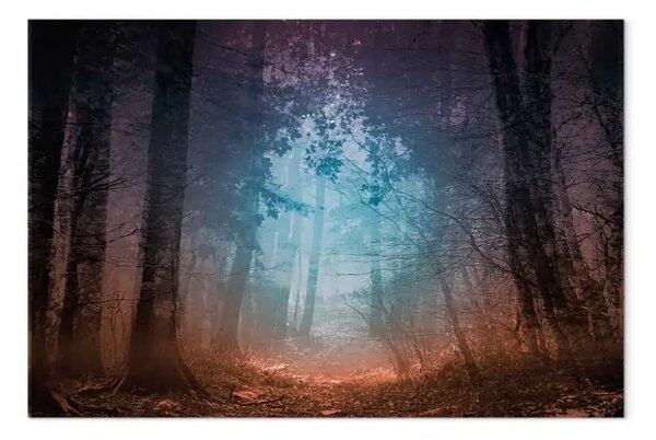 Quadro moderno I margini di una foresta
