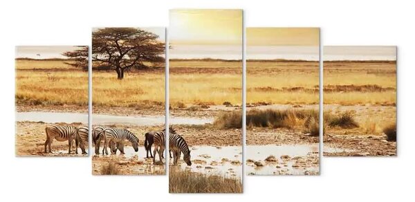 Quadro moderno Zebre nella savana