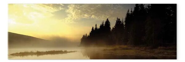 Quadro su tela Nebbia sul lago
