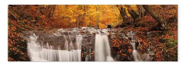 Quadro Autunno e cascata