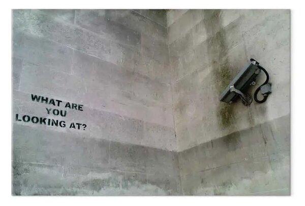 Quadro Che cosa stai cercando? (Banksy)