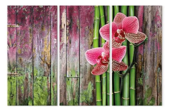 Quadro Fiore e bambu'