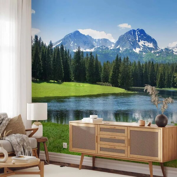 Carta da parati moderna Parco nazionale di Durmitor - paesaggio con bosco e cielo