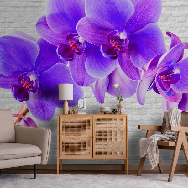 Carta da parati moderna Stimolo viola - motivo floreale di orchidee su sfondo di mattoni