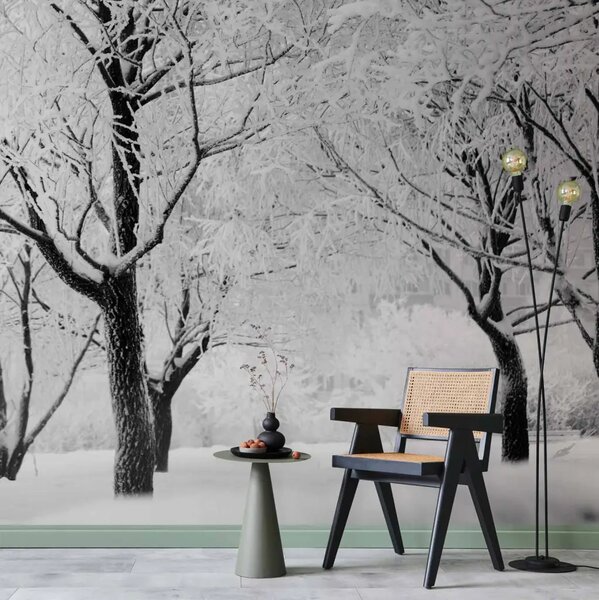 Carta da parati moderna Alberi - paesaggio invernale