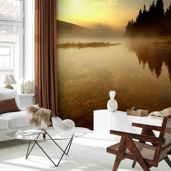 Carta da parati moderna Foresta e lago - paesaggio con alberi e acqua nella nebbia al tramonto