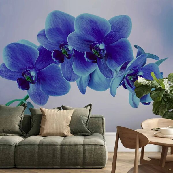 Carta da parati Momenti di solitudine - orchidee blu su sfondo blu con bianco