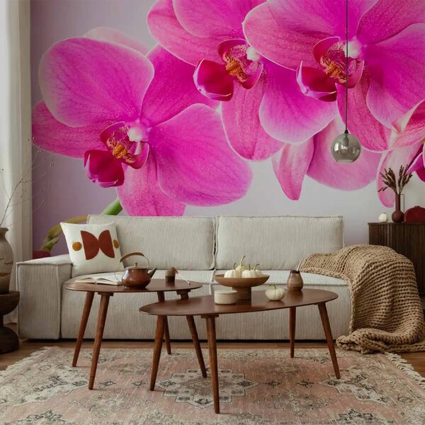 Carta da parati Riflessione - fiori di orchidea rosa su sfondo viola chiaro