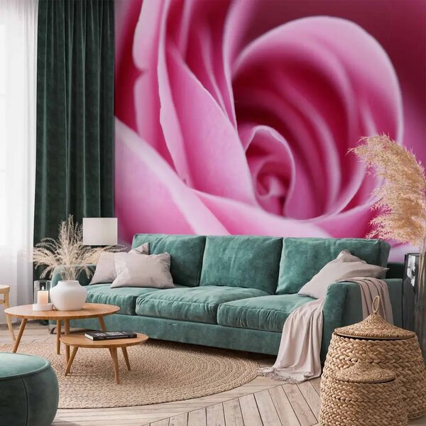 Carta da parati moderna Rosa rosa - primo piano ottico sui petali del fiore