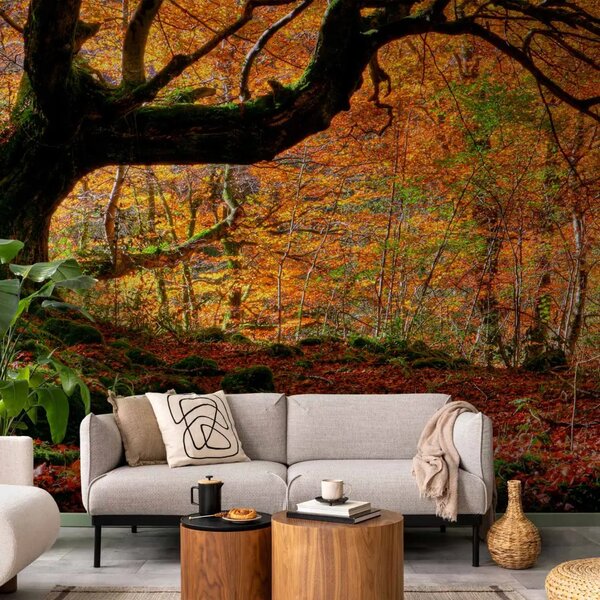 Carta da parati moderna Autunno, bosco e foglie - paesaggio autunnale con albero al centro