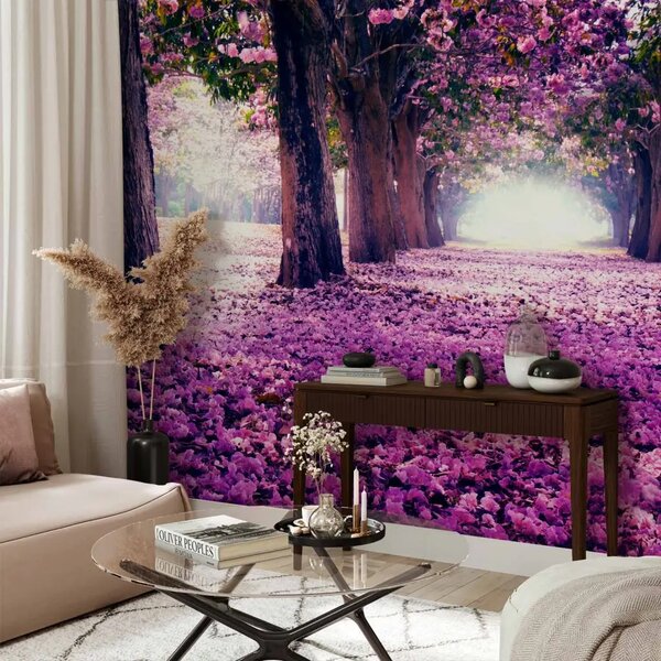 Carta da parati Strada fiorita - parco con alberi in fiore e petali viola cadenti