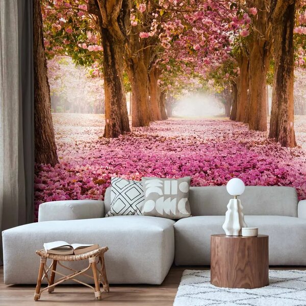 Carta da parati Frutteto rosa - parco con alberi in fiore e petali cadenti