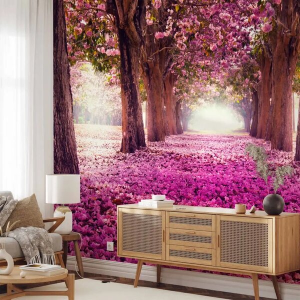 Carta da parati Sentiero rosa - parco con alberi in fiore e petali cadenti