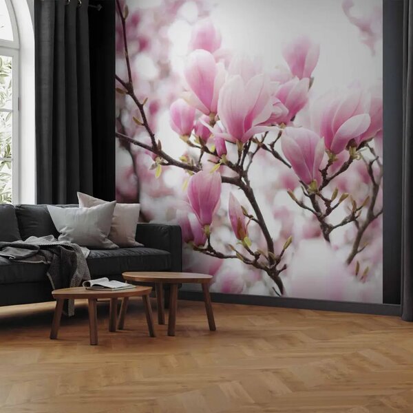 Carta da parati moderna Ramo di Magnolia Fiorita - albero di magnolia con fiori