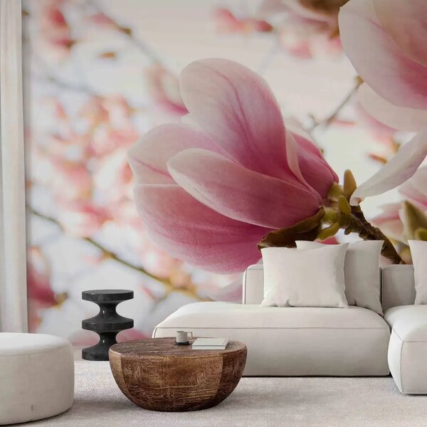 Carta da parati moderna Magnolia Rosa - fiori di magnolia su sfondo di alberi e cielo azzurro