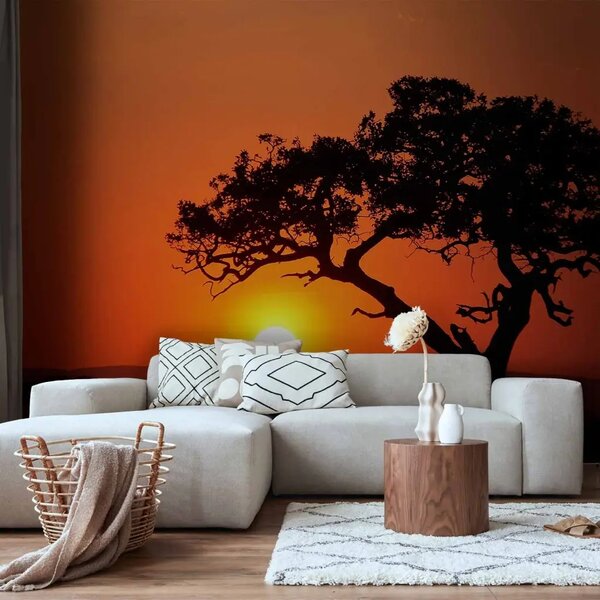 Carta da parati moderna Africa: tramonto - paesaggio con albero nella savana