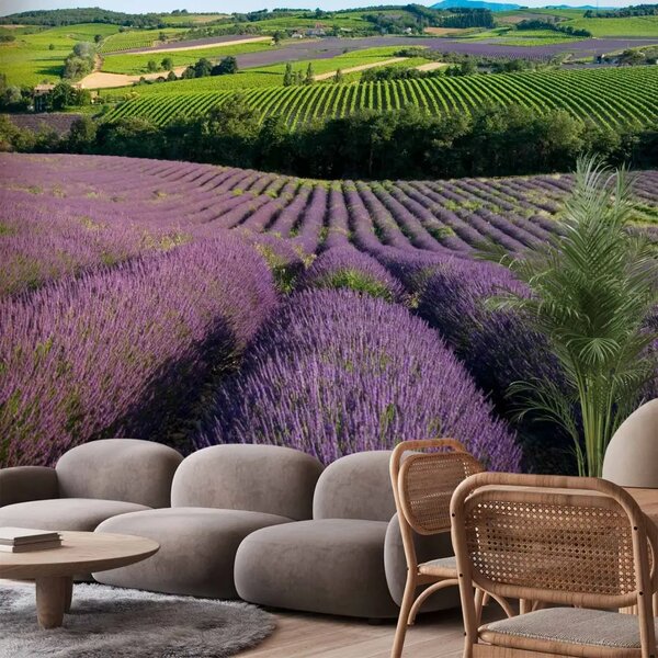 Carta da parati Campi di lavanda - paesaggio con piante viola sulle colline