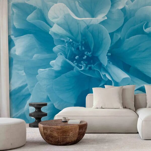 Carta da parati moderna Azalee Blu - primo piano sui petali dei fiori in colori vivaci