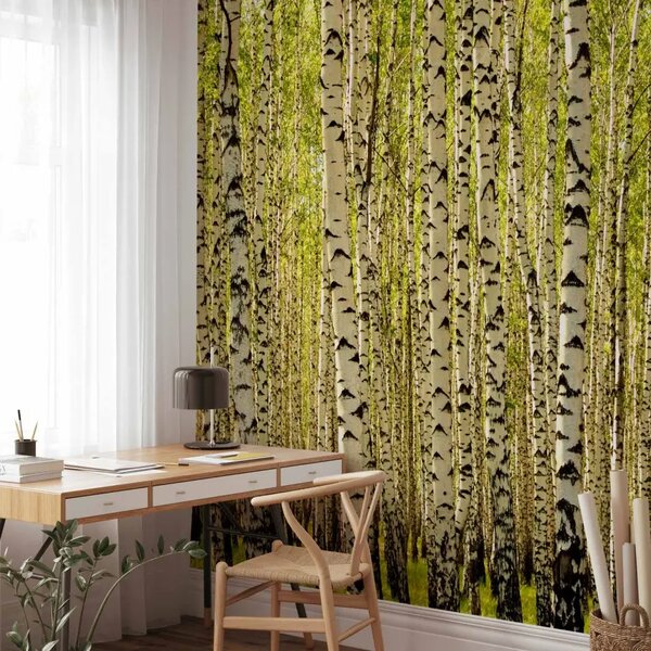 Carta da parati Foresta di betulle - paesaggio con alberi in tonalità di bianco e verde