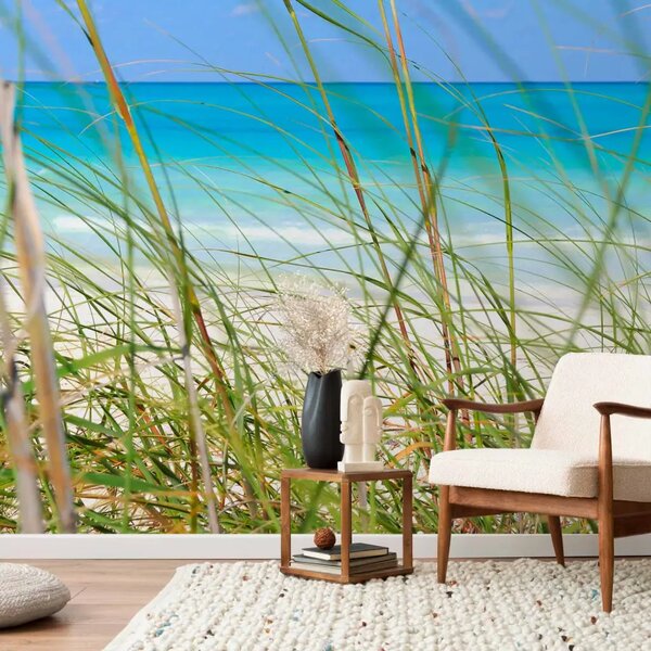 Carta da parati Vacanze - spiaggia paradisiaca oltre l'erba alta con cielo blu