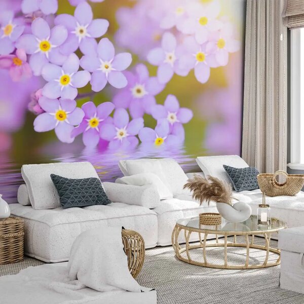 Carta da parati Petali viola in fiore - fiori su riflesso specchiato dell’acqua