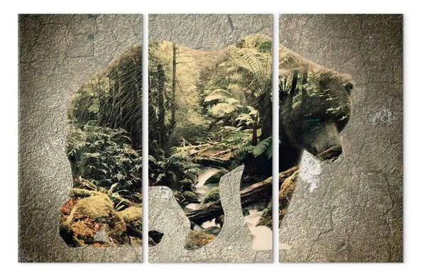 Quadro moderno Orso nella foresta