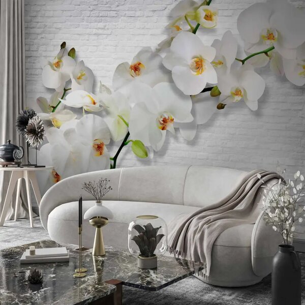 Carta da parati moderna Natura in fiore - composizione con orchidea su sfondo bianco